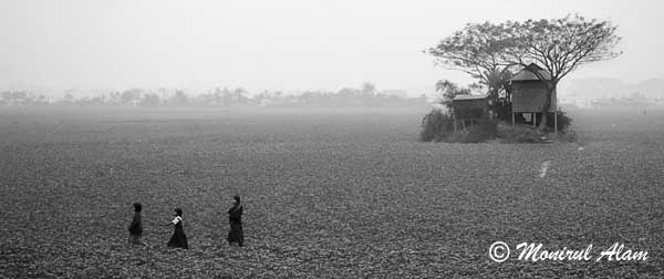 © Monirul Alam