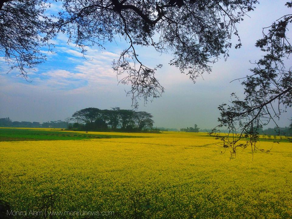 ©Monirul Alam